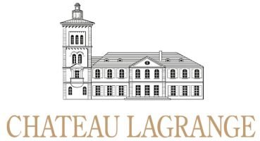 WhatsApp Image 2026-03-11 at 19.55.44 (1)