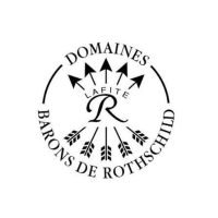 WhatsApp Image 2026-03-11 at 19.55.46 (2)