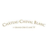 WhatsApp Image 2026-03-11 at 19.55.47 (1)